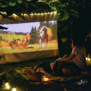 Projector and Inflatable Screen